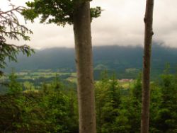 2013-06-22_Hirschhoerndl_Jochberg (029).JPG